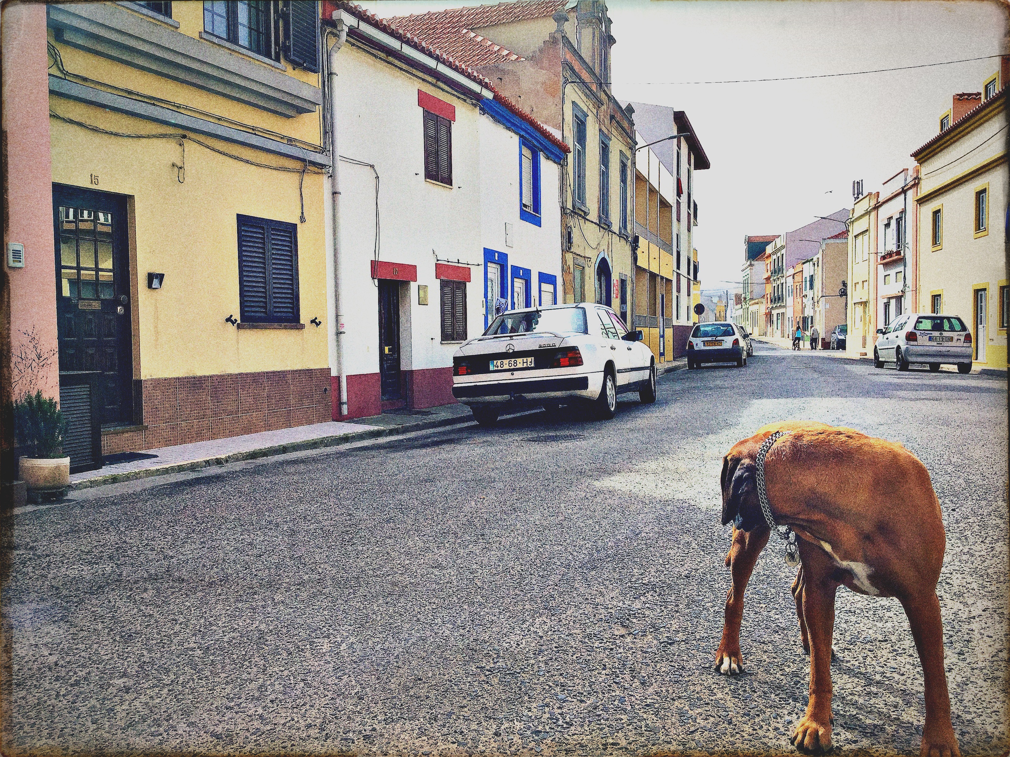 HipstamaticPhoto-528308857.614640